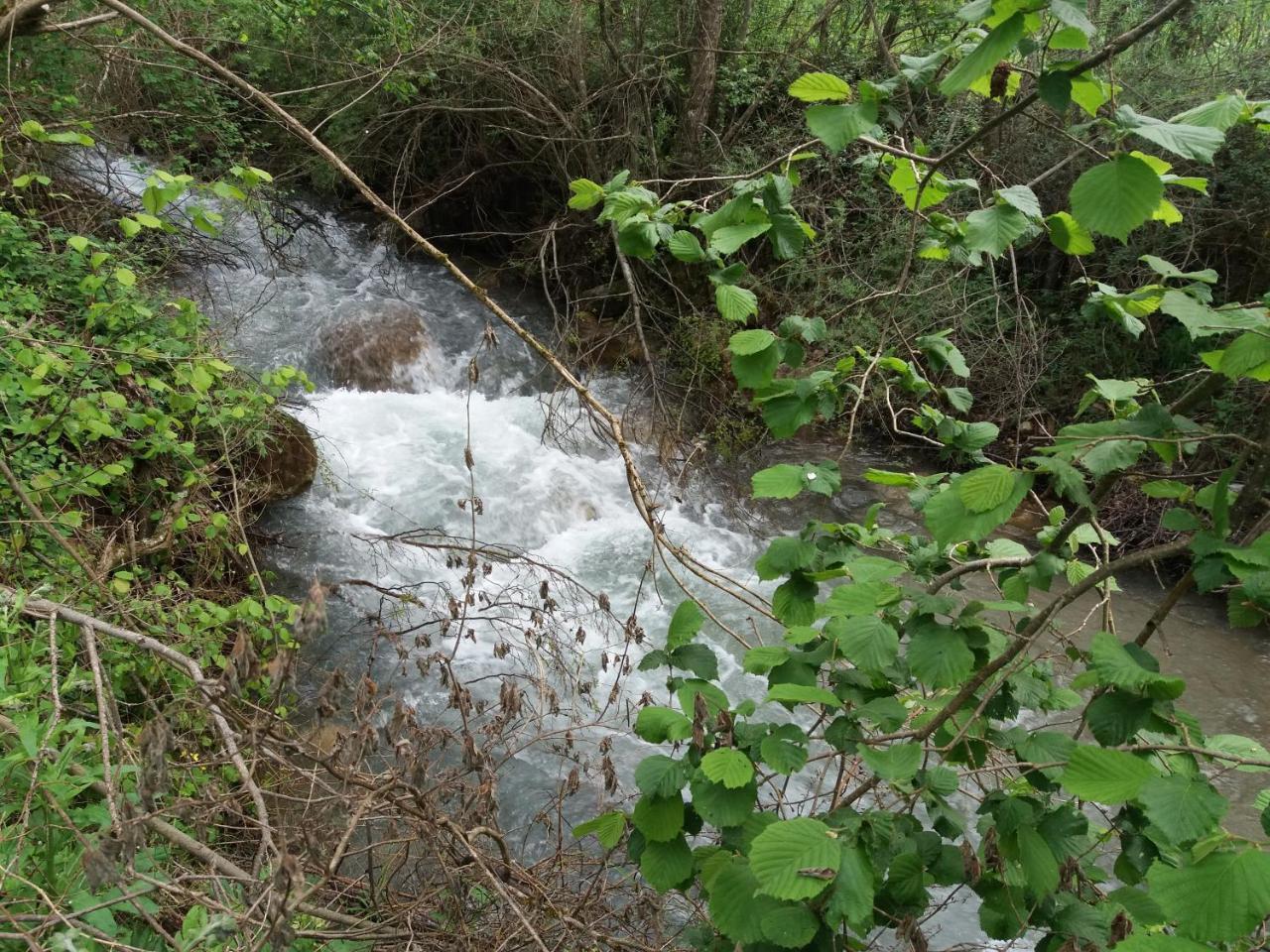 Moli De *